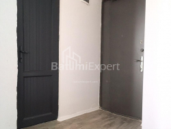 شقة سكنية 48 متر مربع - الكسندرا بوشكين, Batumi, جورجيا