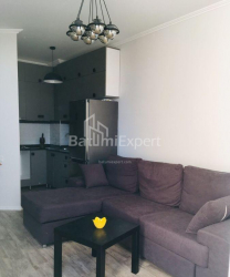 شقة سكنية 48 متر مربع - الكسندرا بوشكين, Batumi, جورجيا