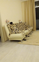 شقة سكنية 55 متر مربع - ميخائيل ليرمونتوف, Batumi, جورجيا