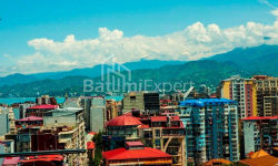 شقة سكنية 3-комн 62 m² - فاختانغ جورجاسالي, Batumi