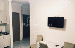 شقة سكنية 40 متر مربع - Tbel-Abuseridze, Batumi, جورجيا
