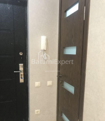 شقة سكنية 39 متر مربع - نيكو بيروسماني, Batumi, جورجيا