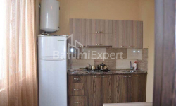 شقة سكنية 57 متر مربع - الكسندرا غريبويدوفا, Batumi, جورجيا