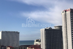 شقة سكنية 3-комн 53 m² - نيكو بيروسماني, Batumi