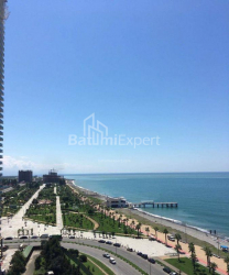 شقة سكنية 25 متر مربع - يوريفسكايا, Batumi, جورجيا