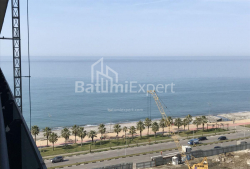 شقة سكنية 30 متر مربع - يوريفسكايا, Batumi, جورجيا