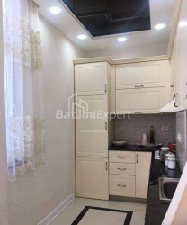 شقة سكنية 85 متر مربع - الكسندرا بوشكين, Batumi, جورجيا