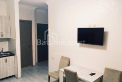 شقة سكنية 40 متر مربع - Tbel-Abuseridze, Batumi, جورجيا