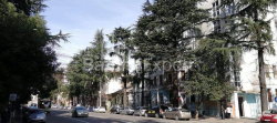 شقة سكنية 40 متر مربع - نيكولوز باراتاشفيلي, Batumi, جورجيا