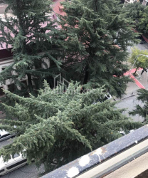 شقة سكنية 70 متر مربع - يوريفسكايا, Batumi, جورجيا