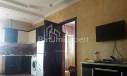 شقة سكنية 44 متر مربع - زورابا جورجيلادزه, Batumi, جورجيا