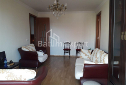 شقة سكنية 49 متر مربع - الكسندرا بوشكين, Batumi, جورجيا