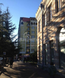 شقة سكنية 2-комн 58 m² - ايليا تشافتشافادزه, Batumi