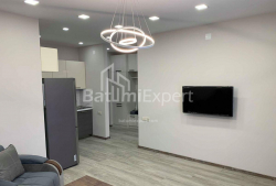 شقة سكنية 56 متر مربع - ديفيد أغماشينبلي, Batumi, جورجيا