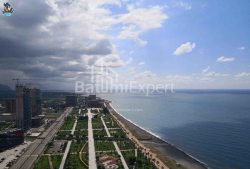 شقة سكنية 31 متر مربع - يوريفسكايا, Batumi, جورجيا