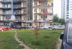 شقة سكنية 1-комн 286 m² - شريف خيمشياشفيلي, Batumi