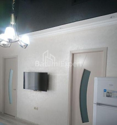 شقة سكنية 48 متر مربع - يوريفسكايا, Batumi, جورجيا