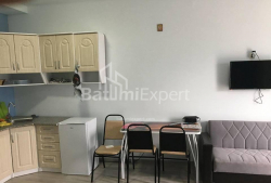 شقة سكنية 38 متر مربع - يوريفسكايا, Batumi, جورجيا