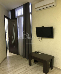 شقة سكنية 35 متر مربع - نيكو بيروسماني, Batumi, جورجيا