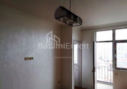 شقة سكنية 46 متر مربع - ايليا تشافتشافادزه, Batumi, جورجيا