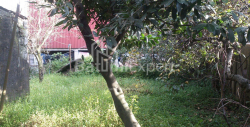شقة سكنية 250 متر مربع - يوريفسكايا, Batumi, جورجيا