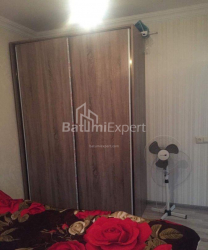 شقة سكنية 35 متر مربع - الكسندرا بوشكين, Batumi, جورجيا
