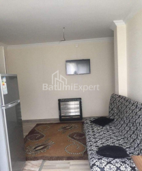 شقة سكنية 35 متر مربع - الكسندرا بوشكين, Batumi, جورجيا