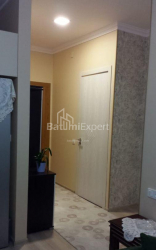 شقة سكنية 47 متر مربع - يوريفسكايا, Batumi, جورجيا