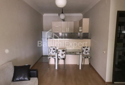شقة سكنية 45 متر مربع - يوريفسكايا, Batumi, جورجيا