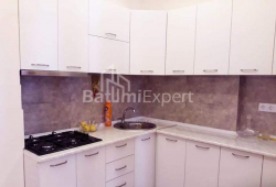 شقة سكنية 53 متر مربع - الكسندرا بوشكين, Batumi, جورجيا