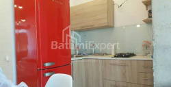 شقة سكنية 62 متر مربع - فاختانغ جورجاسالي, Batumi, جورجيا