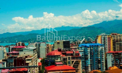 شقة سكنية 62 متر مربع - فاختانغ جورجاسالي, Batumi, جورجيا