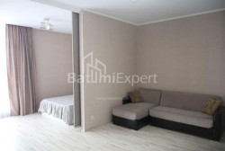 شقة سكنية 65 متر مربع - شالفا إيناساريدزه, Batumi, جورجيا