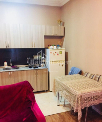 شقة سكنية 46 متر مربع - الكسندرا بوشكين, Batumi, جورجيا