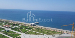 شقة سكنية 35 متر مربع - شريف خيمشياشفيلي, Batumi, جورجيا