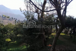 شقة سكنية 300 متر مربع - يوريفسكايا, Batumi, جورجيا