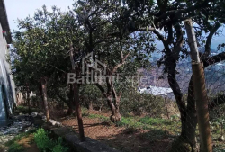 شقة سكنية 300 متر مربع - يوريفسكايا, Batumi, جورجيا