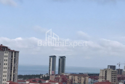 شقة سكنية 3-комн 60 m² - إيفان جافاخيشفيلي, Batumi
