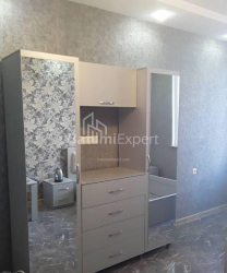 شقة سكنية 31 متر مربع - نيكو بيروسماني, Batumi, جورجيا