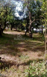 شقة سكنية 259 متر مربع - يوريفسكايا, Batumi, جورجيا