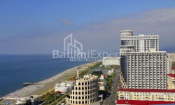 شقة سكنية 28 متر مربع - يوريفسكايا, Batumi, جورجيا