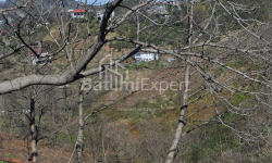 شقة سكنية 2-комн 170 m² - يوريفسكايا, Batumi