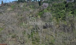 شقة سكنية 2-комн 170 m² - يوريفسكايا, Batumi