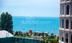 شقة سكنية 47 متر مربع - شريف خيمشياشفيلي, Batumi, جورجيا