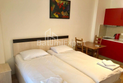 شقة سكنية 33 متر مربع - شريف خيمشياشفيلي, Batumi, جورجيا