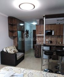 شقة سكنية 25 متر مربع - يوريفسكايا, Batumi, جورجيا