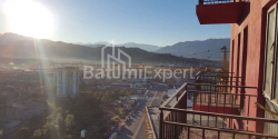 شقة سكنية 1-комн 28 m² - بترا باغراتيون, Batumi