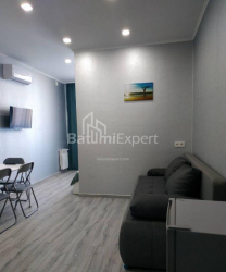 شقة سكنية 35 متر مربع - نيكو بيروسماني, Batumi, جورجيا