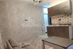 شقة سكنية 40 متر مربع - نيكو بيروسماني, Batumi, جورجيا