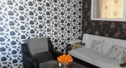 شقة سكنية 3-комн 65 m² - نيكو بيروسماني, Batumi